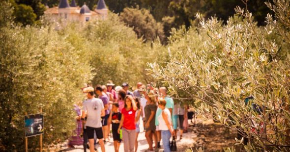 Reprise de l’activité visite pour les entreprises le 19 mai : consignes et recommandations