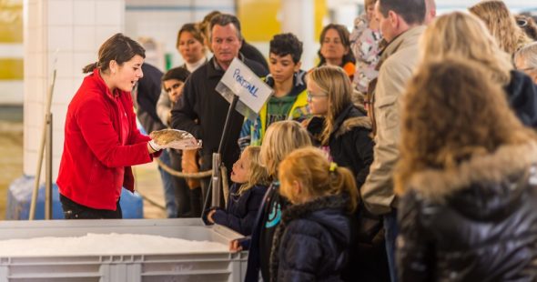 Entreprise et Découverte forme les institutionnels du tourisme aux enjeux de la filière !