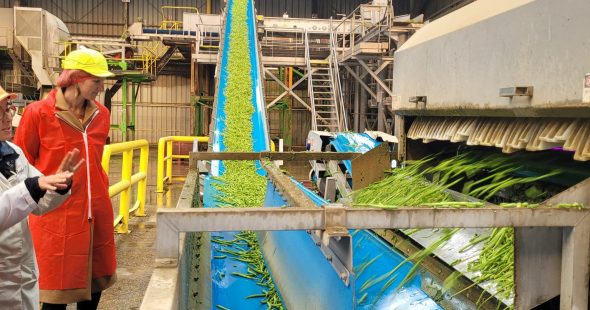 Bonduelle se tourne vers la visite d’entreprise !