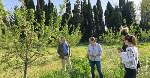 Entreprise et Découverte forme les entreprises des Alpilles