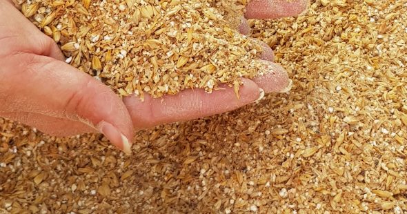 Le tourisme brassicole, un vrai potentiel de développement sur le territoire !