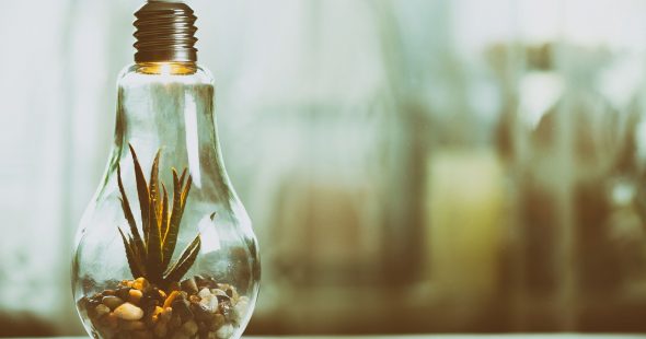 Réseau Alliances devient partenaire de l’antenne Entreprise et Découverte Hauts-de-France