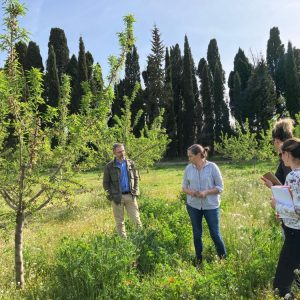 Références de l&rsquo;antenne Sud – Provence-Alpes-Côte d&rsquo;Azur