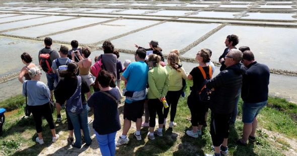 Cap à l’Ouest ! Nos idées de visites pour les vacances