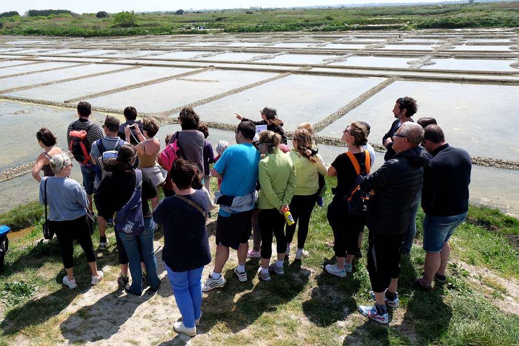 Terre de Sel, visite guidée au coeur des marais