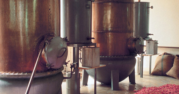 Voyage au cœur des Entreprises en région Sud !