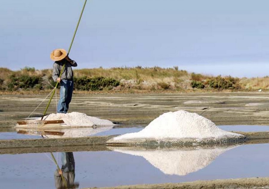 Terre De Sel Le Sel De Guerande Entreprise Et Découverte - 