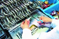 Cet été, on se retrouve à l&rsquo;Atelier en Bretagne !