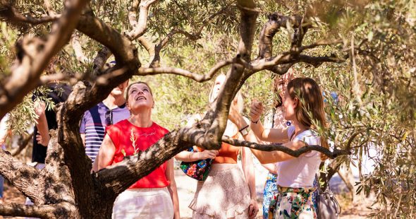 Dans les coulisses de la Coopérative l’Oulibo