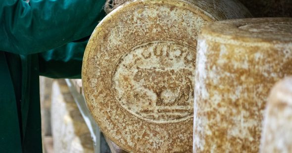 Cet été, on se retrouve à l’Atelier en Occitanie !