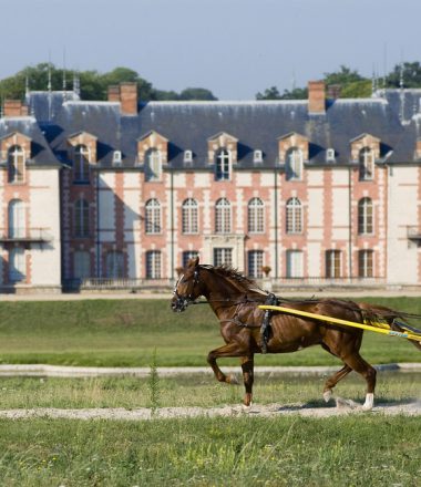 CENTRE D’ENTRAÎNEMENT DES CHEVAUX TROTTEURS DE GROSBOIS