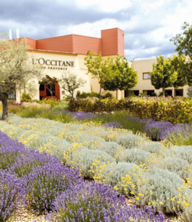 L&rsquo;OCCITANE EN PROVENCE