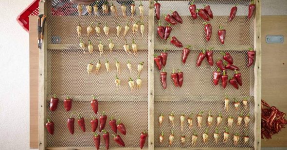 Les Journées Nationales de l’Agriculture, à la découverte de la filière agroalimentaire !