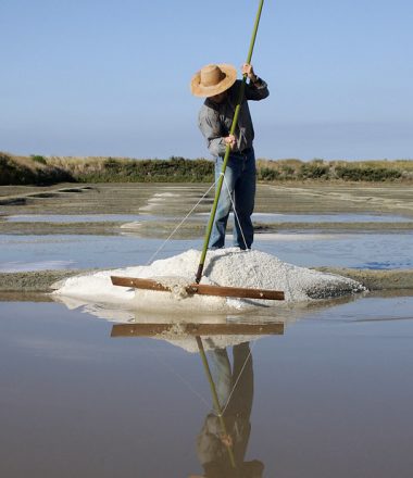 TERRE DE SEL – LE SEL DE GUERANDE