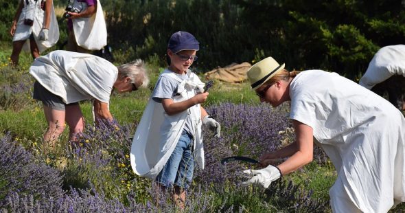 La saison estivale est lancée !