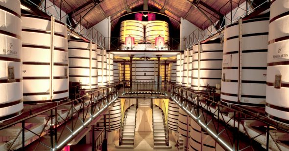 Un nouveau circuit de visite à découvrir chez Rémy Martin !