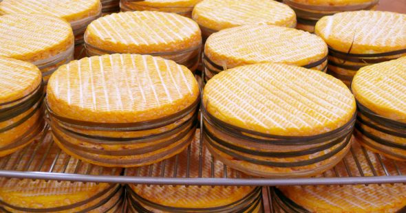 Avec ou sans croûte?