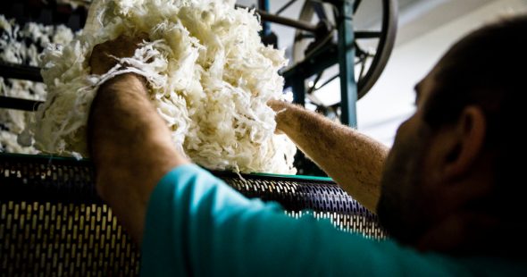 5 choses que vous ne savez pas sur … la laine