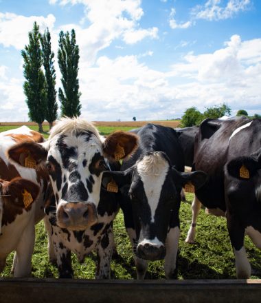 LA FERME DES PEUPLIERS