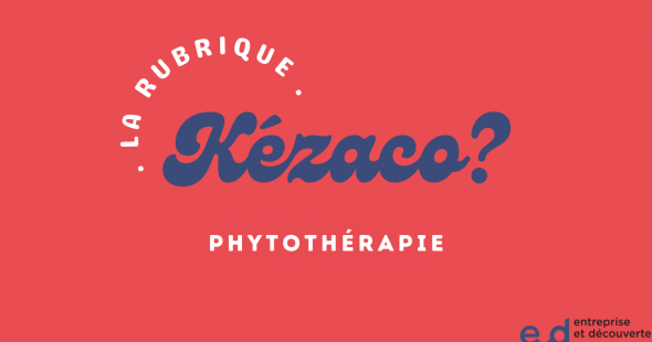 Phytothérapie