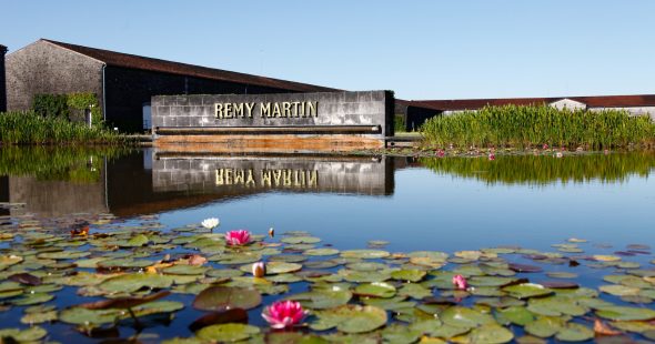 Maison Rémy Martin – « Les Rencontres des Savoir-Faire », nouvelle offre 2022