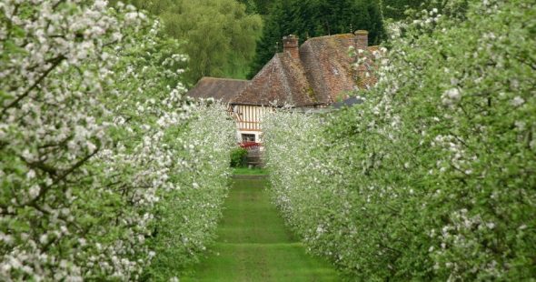 Le Calvados, eau-de-vie de prestige éponyme du terroir normand