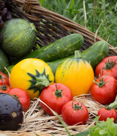 FERME DES POTAGERS DE MARCOUSSIS