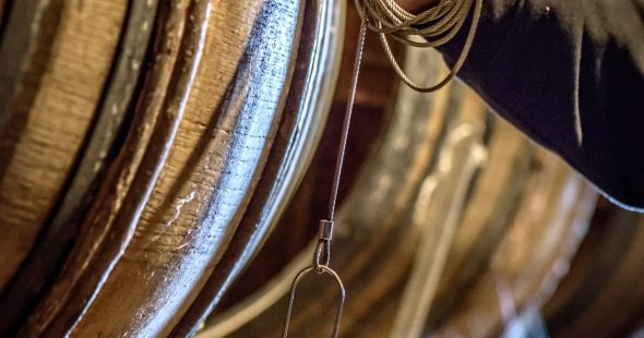 Dans les coulisses de la Maison Rémy Martin