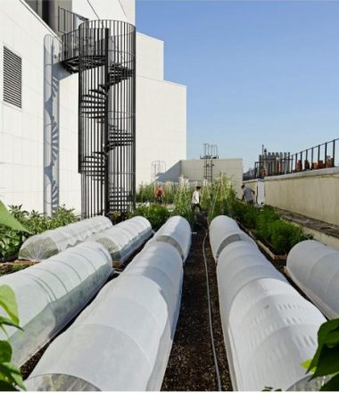 VISITE DE LA FERME URBAINE DE L’OPERA BASTILLE