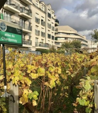 VISITE DE LA  CONFRERIE DU CLOS SAINT VINCENT