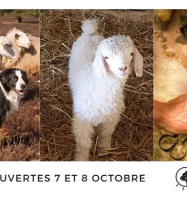 PORTES OUVERTS DE LA FERME DES P’TITS BERGERS