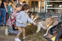 Vacances de février : A la découverte du secteur agricole !