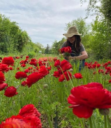 MURS A FLEURS