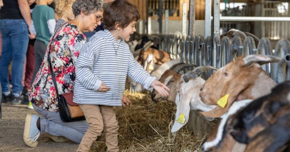 Evènements Visite d’entreprise : un très bon bilan pour les territoires !