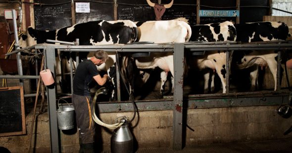60ème édition du Salon de l’Agriculture !