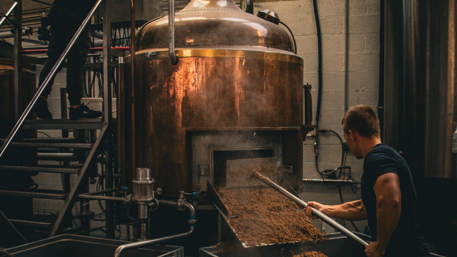 🍺🌾 À la découverte de la bière, boisson millénaire