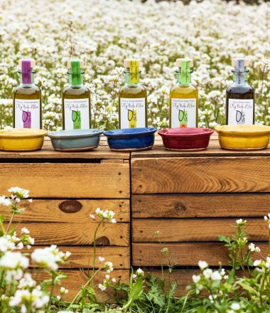 LE MOULIN À OLIVES – ÉGUILLES