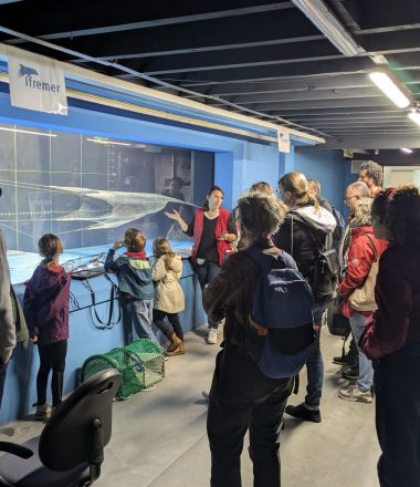 OBJECTIF PECHE DURABLE : LA STATION IFREMER DE LORIENT