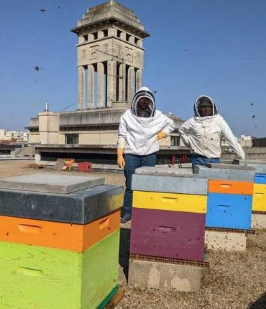 APICULTURE URBAINE