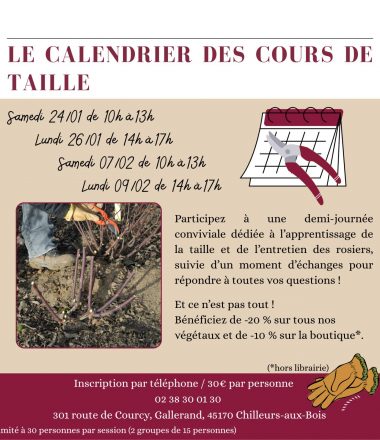 Cours de taille de rosiers
