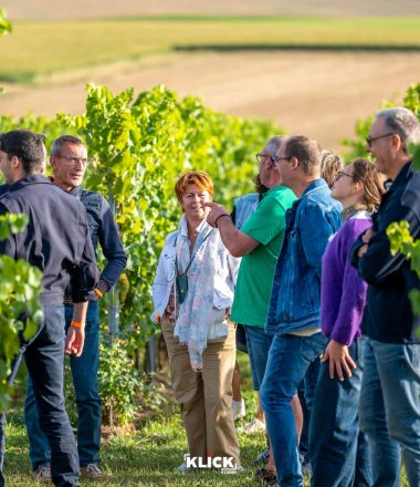 VIGNOBLE DU HAUT ESCAUT