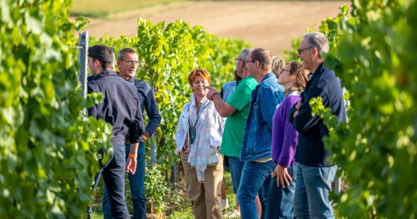 Les nouvelles visites à découvrir !