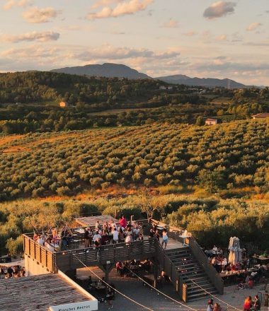 DOMAINE DE L&rsquo;OULIVIE