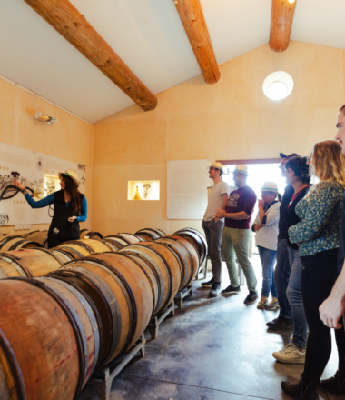 DOMAINE DE L&rsquo;OULIVIE