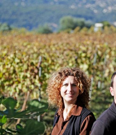 DOMAINE DE LA SOURCE