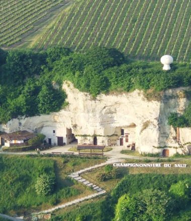 CHAMPIGNONNIERE DU SAUT AUX LOUPS