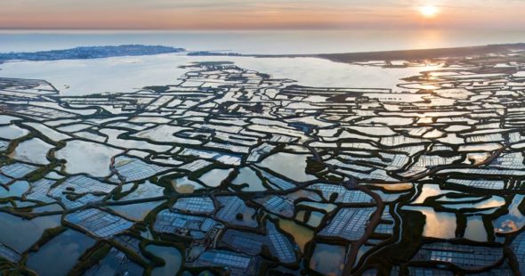 Cet été, je visite une entreprise en… Pays de la Loire