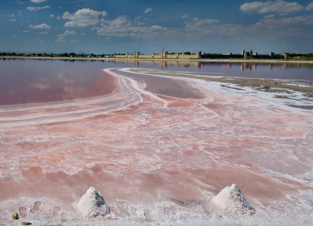 aigues mortes salins