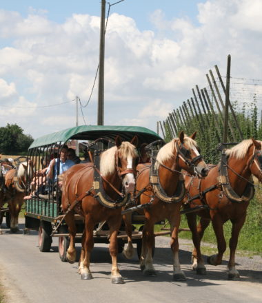 FERME BRASSERIE BECK