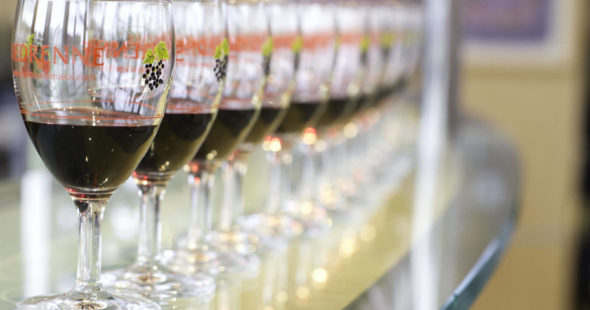 On a visité pour vous… Le Cassissium en Bourgogne !